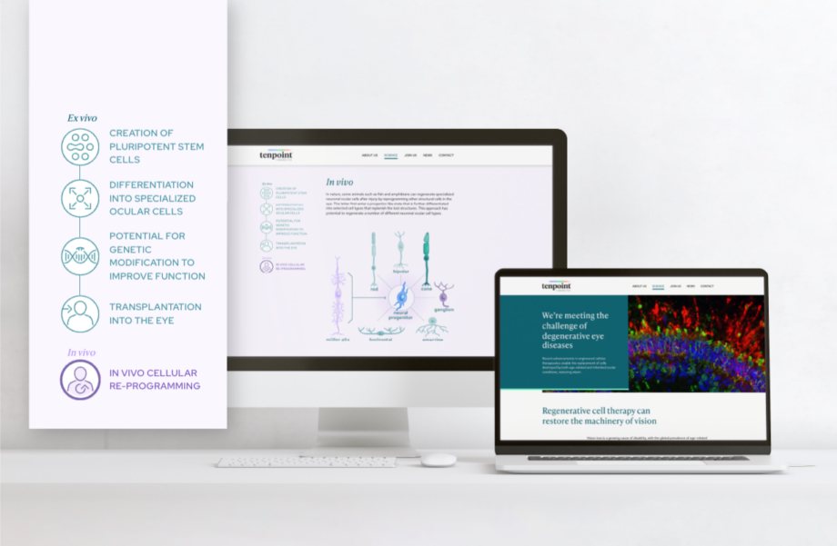 Tenpoint Therapeutics » Ten Bridge Communications